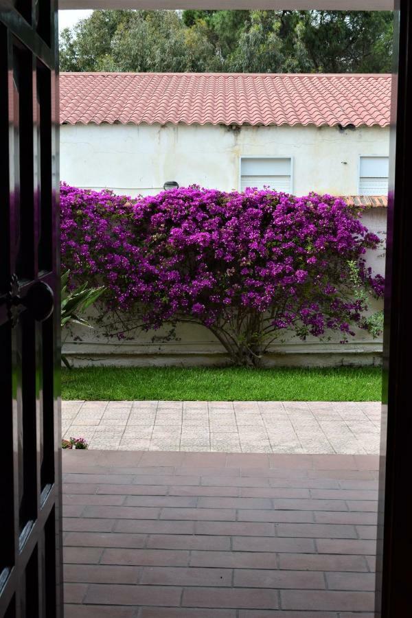 Apartamento Casa Bedda Agnone Bagni Exterior foto